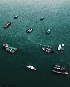 ترخیص کالا هند