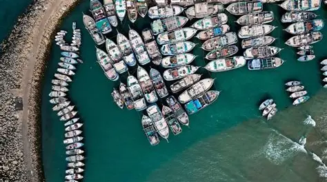 صادرات و ترخیص کالا برای بلاروس و هند صادرات و ترخیص کالا برای بلاروس و هند